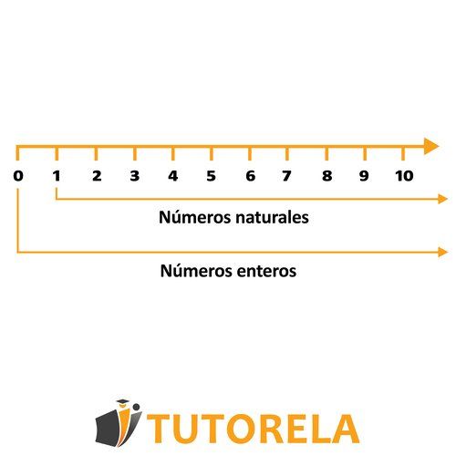 Diagrama de línea numérica que muestra la diferencia entre los números naturales que comienzan en 1 y los números enteros que comienzan en 0, usado para enseñar conjuntos numéricos.