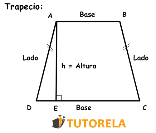 Características y tipos de trapecios